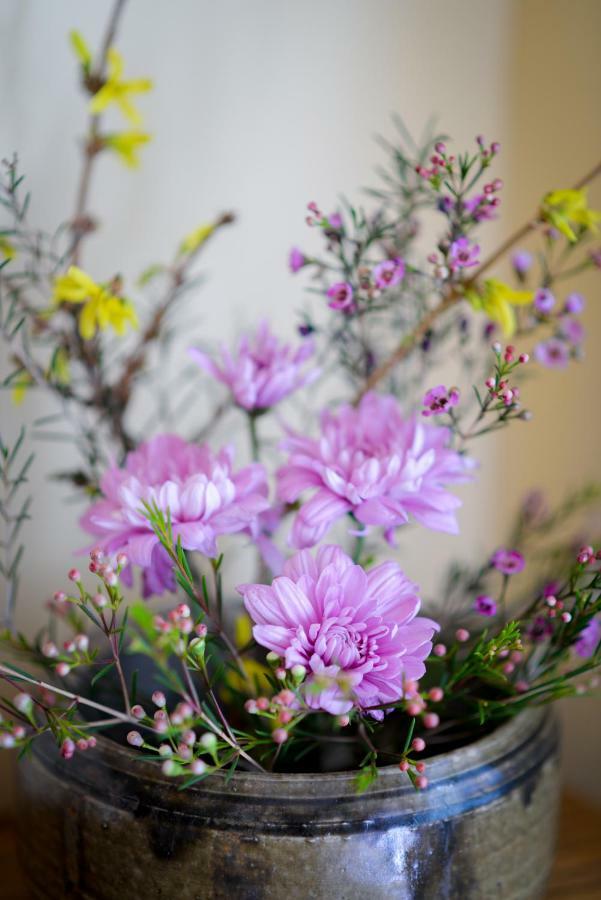 بولدر Briar Rose Bed & Breakfast المظهر الخارجي الصورة